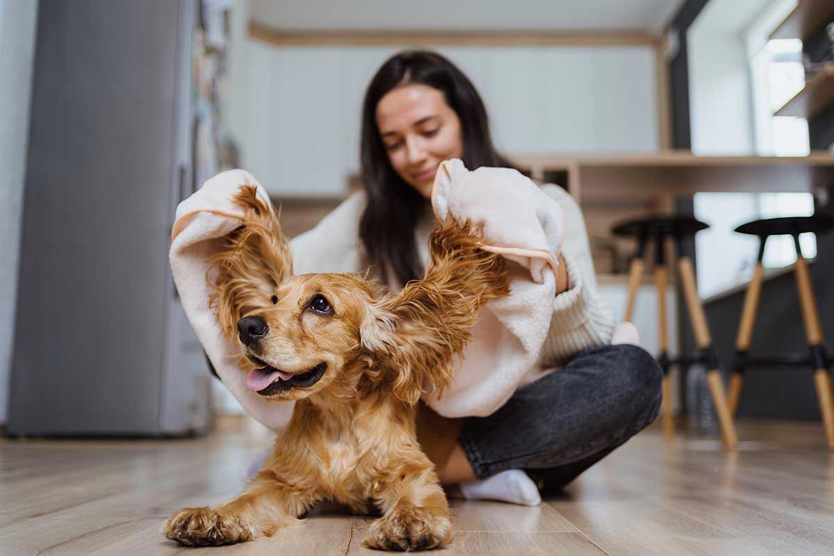 Sfaturi utile pentru îngrijirea câinilor